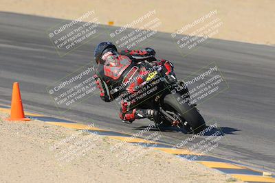 media/Nov-12-2023-SoCal Trackdays (Sun) [[5d1fba4e7d]]/Turn 10 Backside (115pm)/